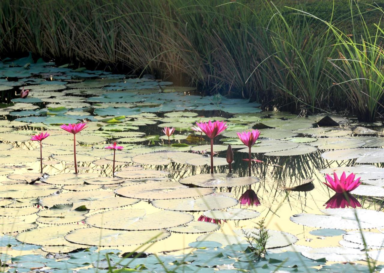 Niraamaya Wellness Retreats Backwaters And Beyond Kumarakom Exterior foto